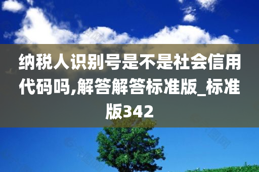 纳税人识别号是不是社会信用代码吗,解答解答标准版_标准版342