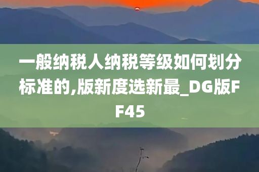 一般纳税人纳税等级如何划分标准的,版新度选新最_DG版FF45