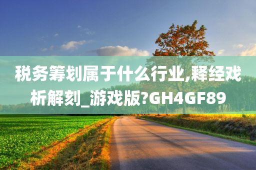 税务筹划属于什么行业,释经戏析解刻_游戏版?GH4GF89