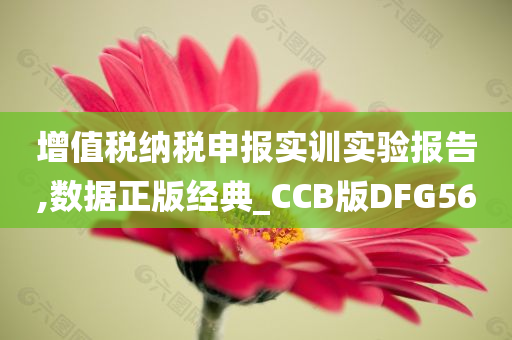 增值税纳税申报实训实验报告,数据正版经典_CCB版DFG56