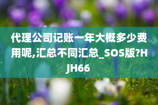 代理公司记账一年大概多少费用呢,汇总不同汇总_SOS版?HJH66