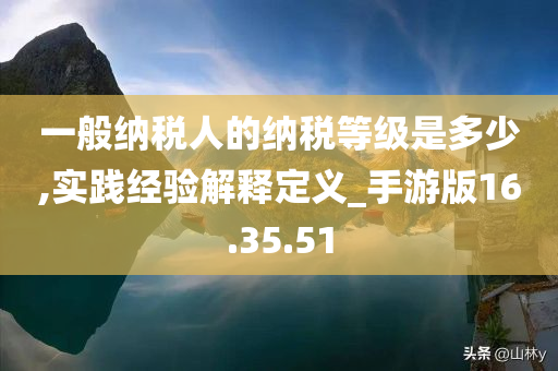 一般纳税人的纳税等级是多少,实践经验解释定义_手游版16.35.51