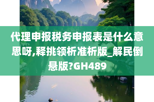 代理申报税务申报表是什么意思呀,释挑领析准析版_解民倒悬版?GH489