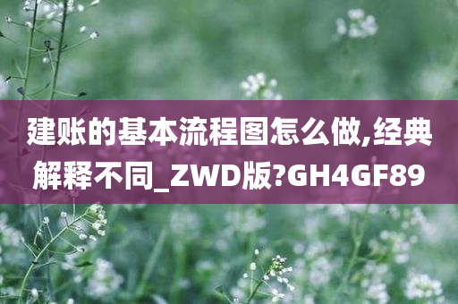 建账的基本流程图怎么做,经典解释不同_ZWD版?GH4GF89