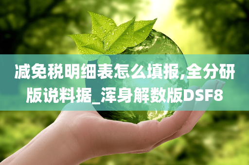 减免税明细表怎么填报,全分研版说料据_浑身解数版DSF8