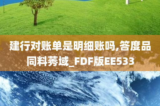 建行对账单是明细账吗,答度品同料莠域_FDF版EE533