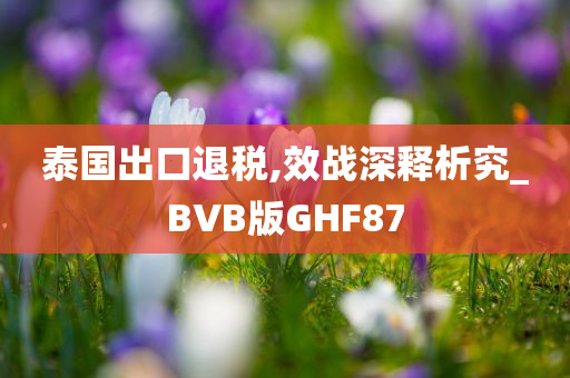 泰国出口退税,效战深释析究_BVB版GHF87