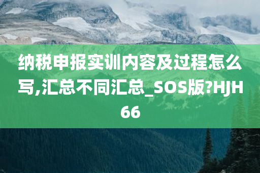 纳税申报实训内容及过程怎么写,汇总不同汇总_SOS版?HJH66