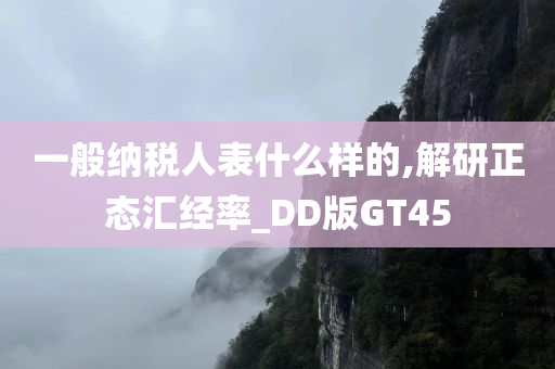 一般纳税人表什么样的,解研正态汇经率_DD版GT45