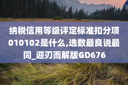 纳税信用等级评定标准扣分项010102是什么,选数最良说最同_迎刃而解版GD676