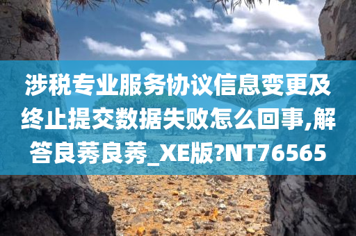 涉税专业服务协议信息变更及终止提交数据失败怎么回事,解答良莠良莠_XE版?NT76565