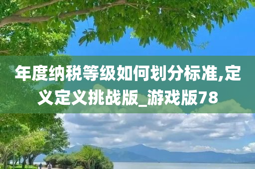 年度纳税等级如何划分标准,定义定义挑战版_游戏版78