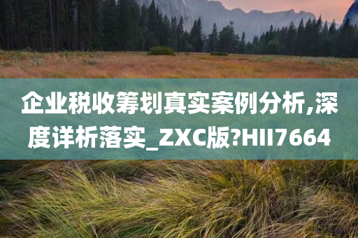 企业税收筹划真实案例分析,深度详析落实_ZXC版?HII7664