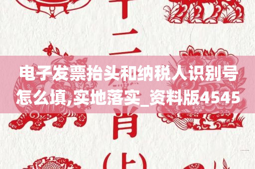 电子发票抬头和纳税人识别号怎么填,实地落实_资料版4545