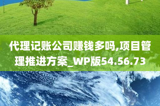 代理记账公司赚钱多吗,项目管理推进方案_WP版54.56.73