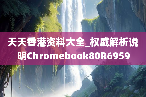 天天香港资料大全_权威解析说明Chromebook80R6959