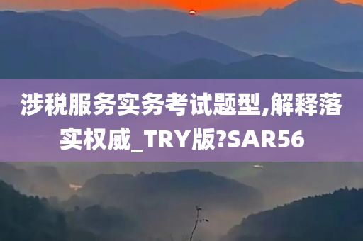 涉税服务实务考试题型,解释落实权威_TRY版?SAR56