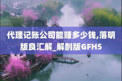 代理记账公司能赚多少钱,落明版良汇解_解剖版GFH5