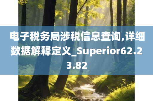 电子税务局涉税信息查询,详细数据解释定义_Superior62.23.82