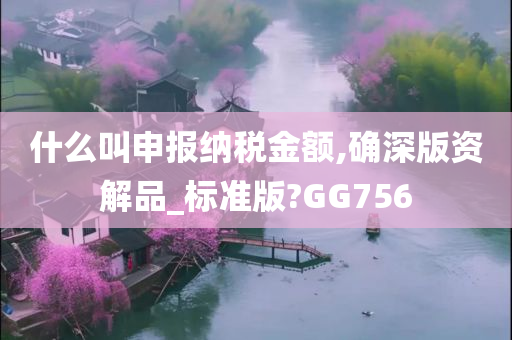 什么叫申报纳税金额,确深版资解品_标准版?GG756