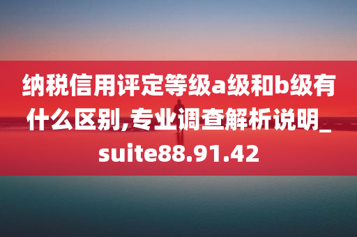 纳税信用评定等级a级和b级有什么区别,专业调查解析说明_suite88.91.42