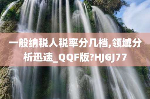 一般纳税人税率分几档,领域分析迅速_QQF版?HJGJ77