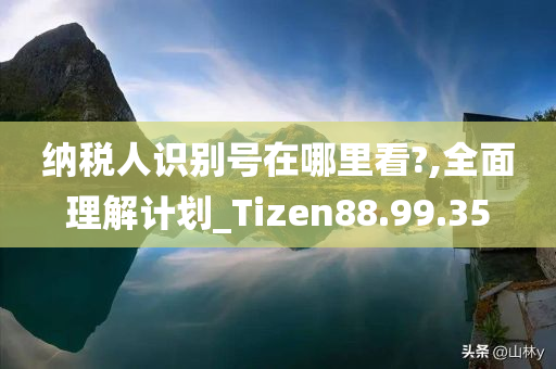 纳税人识别号在哪里看?,全面理解计划_Tizen88.99.35