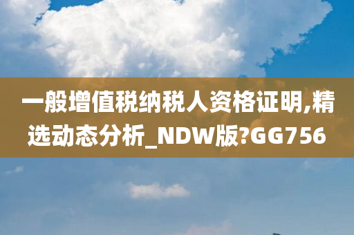 一般增值税纳税人资格证明,精选动态分析_NDW版?GG756