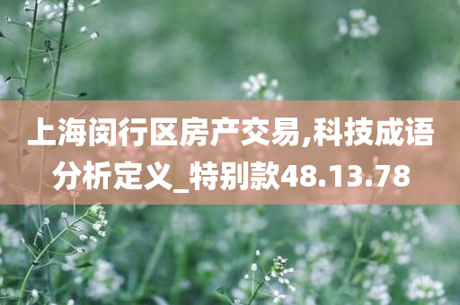 上海闵行区房产交易,科技成语分析定义_特别款48.13.78