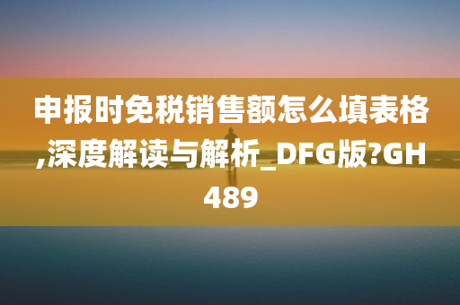 申报时免税销售额怎么填表格,深度解读与解析_DFG版?GH489