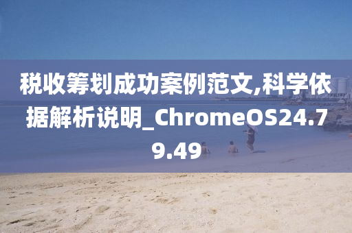 税收筹划成功案例范文,科学依据解析说明_ChromeOS24.79.49