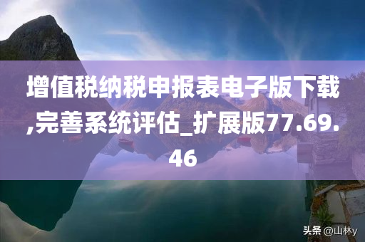 增值税纳税申报表电子版下载,完善系统评估_扩展版77.69.46