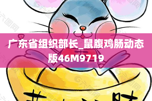 广东省组织部长_鼠腹鸡肠动态版46M9719