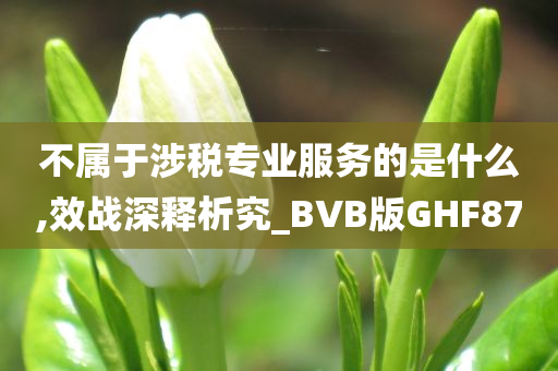 不属于涉税专业服务的是什么,效战深释析究_BVB版GHF87