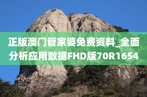 正版澳门管家婆免费资料_全面分析应用数据FHD版70R1654