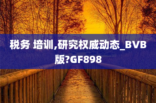 税务 培训,研究权威动态_BVB版?GF898