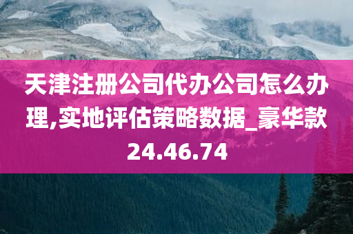 天津注册公司代办公司怎么办理,实地评估策略数据_豪华款24.46.74