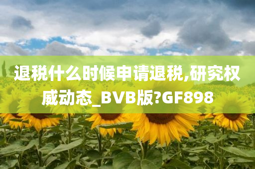 退税什么时候申请退税,研究权威动态_BVB版?GF898