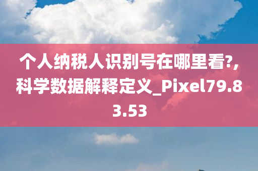 个人纳税人识别号在哪里看?,科学数据解释定义_Pixel79.83.53