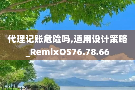 代理记账危险吗,适用设计策略_RemixOS76.78.66