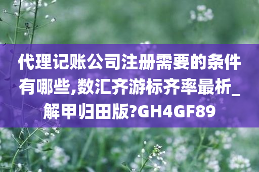 代理记账公司注册需要的条件有哪些,数汇齐游标齐率最析_解甲归田版?GH4GF89