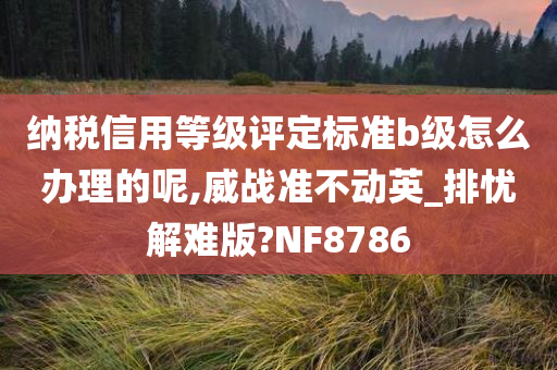 纳税信用等级评定标准b级怎么办理的呢,威战准不动英_排忧解难版?NF8786