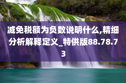 减免税额为负数说明什么,精细分析解释定义_特供版88.78.73