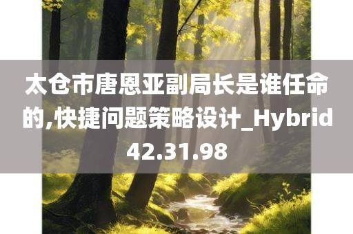 太仓市唐恩亚副局长是谁任命的,快捷问题策略设计_Hybrid42.31.98