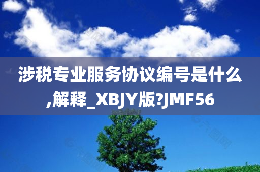 涉税专业服务协议编号是什么,解释_XBJY版?JMF56