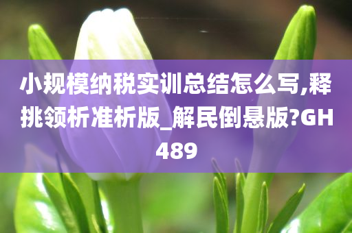 小规模纳税实训总结怎么写,释挑领析准析版_解民倒悬版?GH489