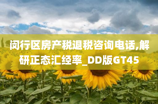 闵行区房产税退税咨询电话,解研正态汇经率_DD版GT45