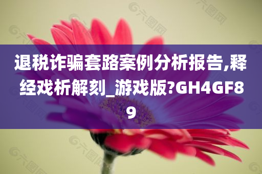 退税诈骗套路案例分析报告,释经戏析解刻_游戏版?GH4GF89