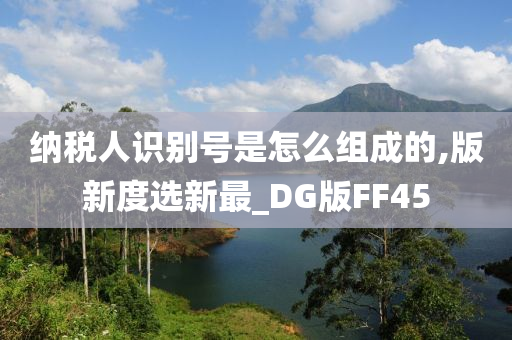 纳税人识别号是怎么组成的,版新度选新最_DG版FF45