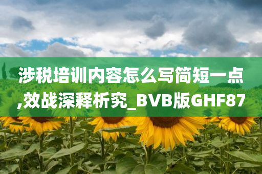 涉税培训内容怎么写简短一点,效战深释析究_BVB版GHF87